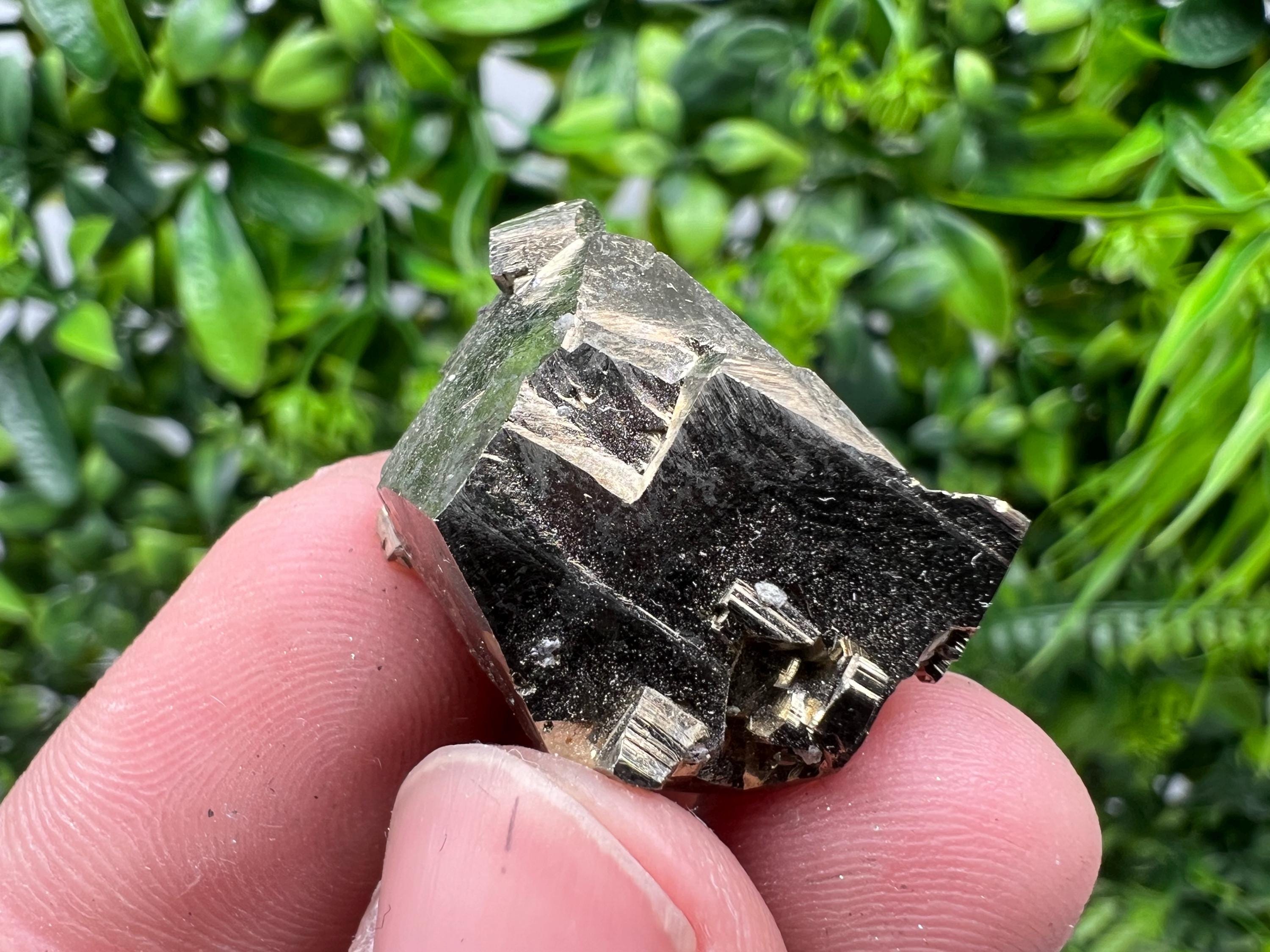 Rare Crystallization Pyrite Cluster, Borieva Mine, Bulgaria