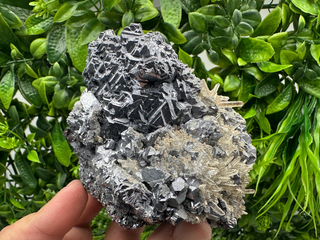 Galena Cluster with Quartz, Krushev Dol Mine, Bulgaria