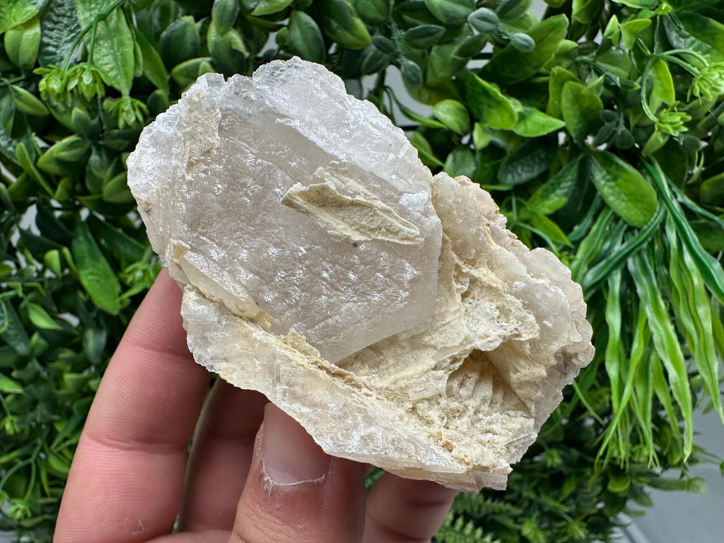 UV Reactive Mangano Calcite, Borieva Mine Bulgaria, Mineral Specimen