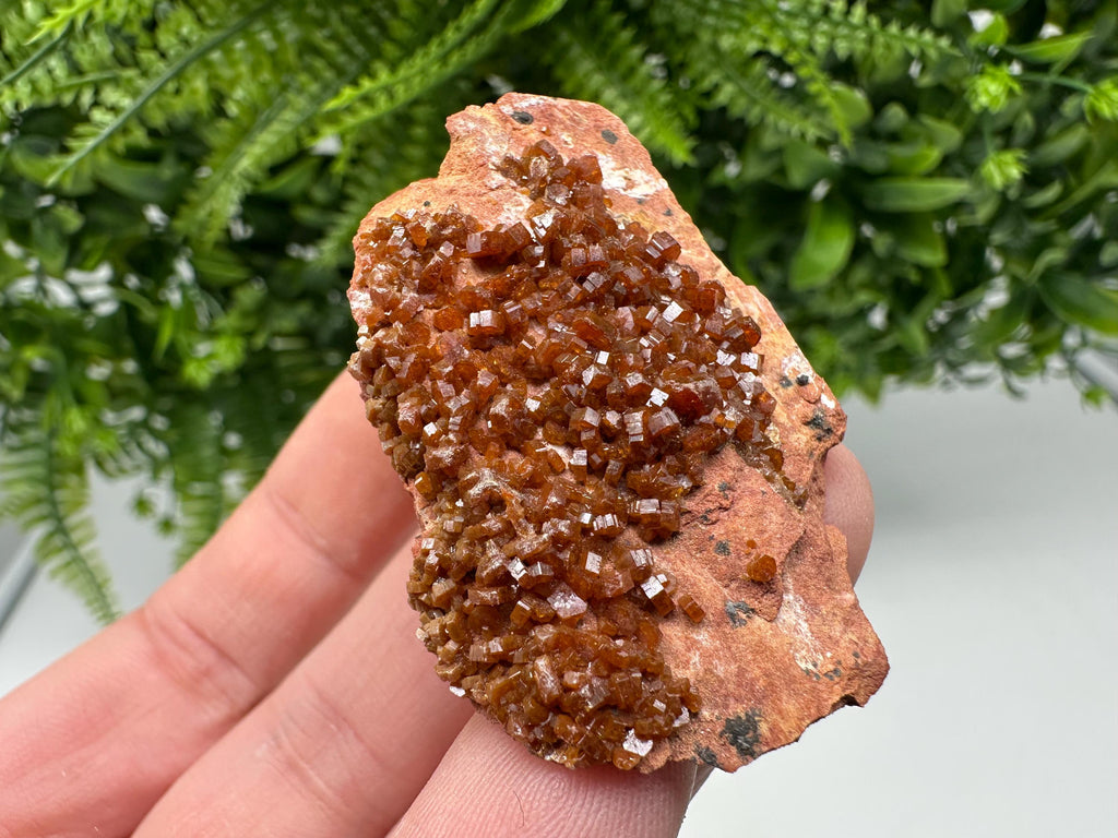 Red Vanadinite on Matrix from Marocco,crystal minerals Speciment cluster Vanadinite crystal Vanadinite Geology Vanadinite cluster minerals