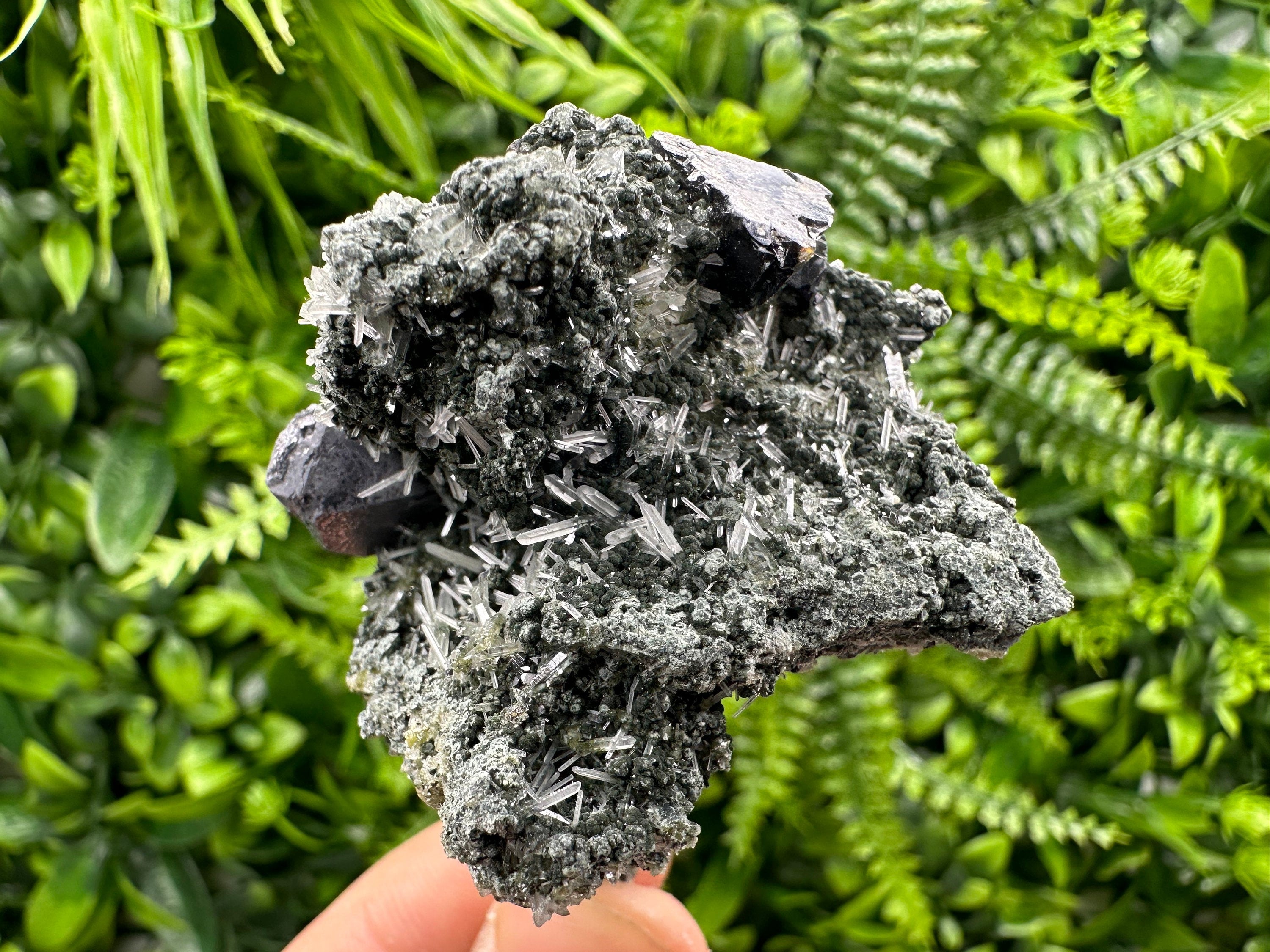 Sphalerite Galena on Green Quartz: Borieva Mine Crystal Decor