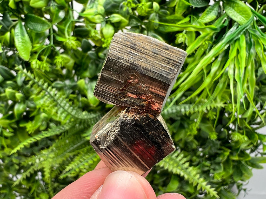 Rare Mini Pyrite Cluster: Borieva Mine, Bulgaria