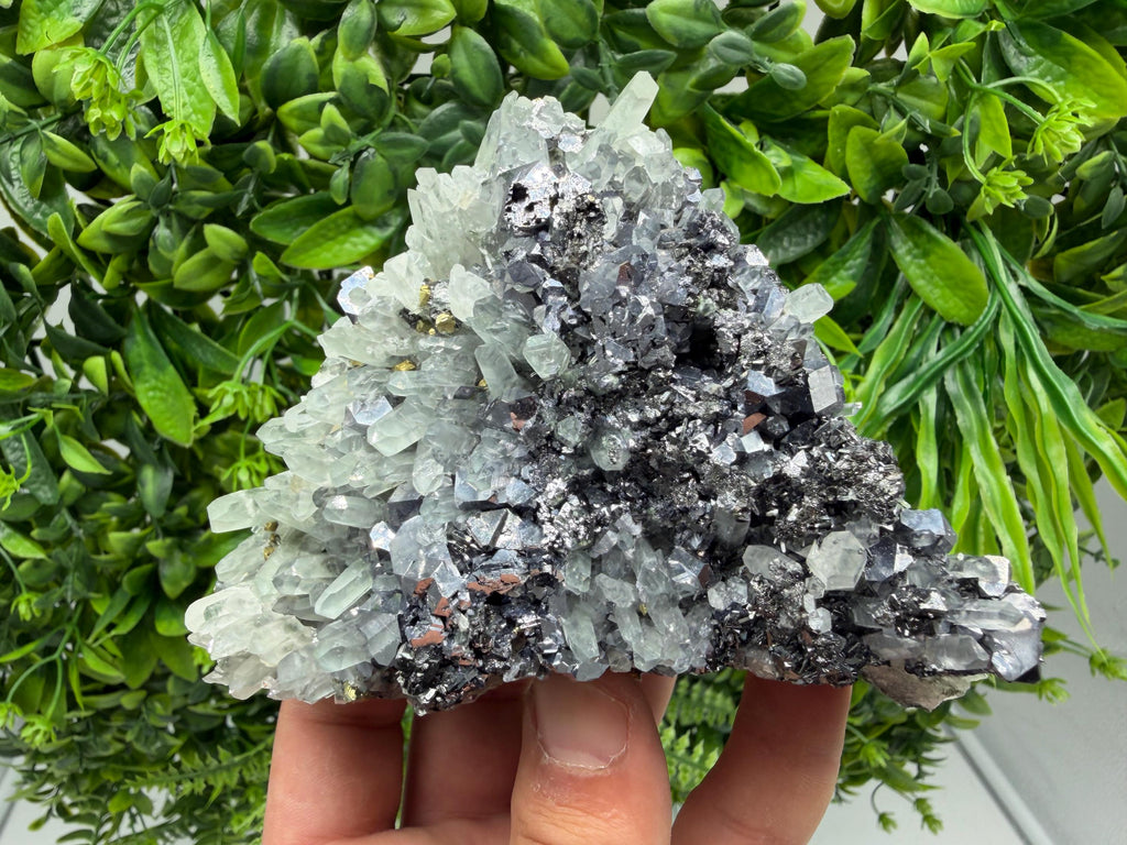 Galena Sphalerite Pyrite on Quartz, Borieva Mine, Bulgaria