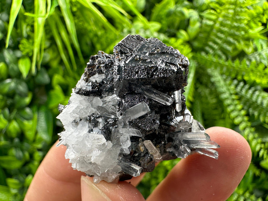 Sphalerite on Transparent Quartz, Kryshev Dol Bulgaria