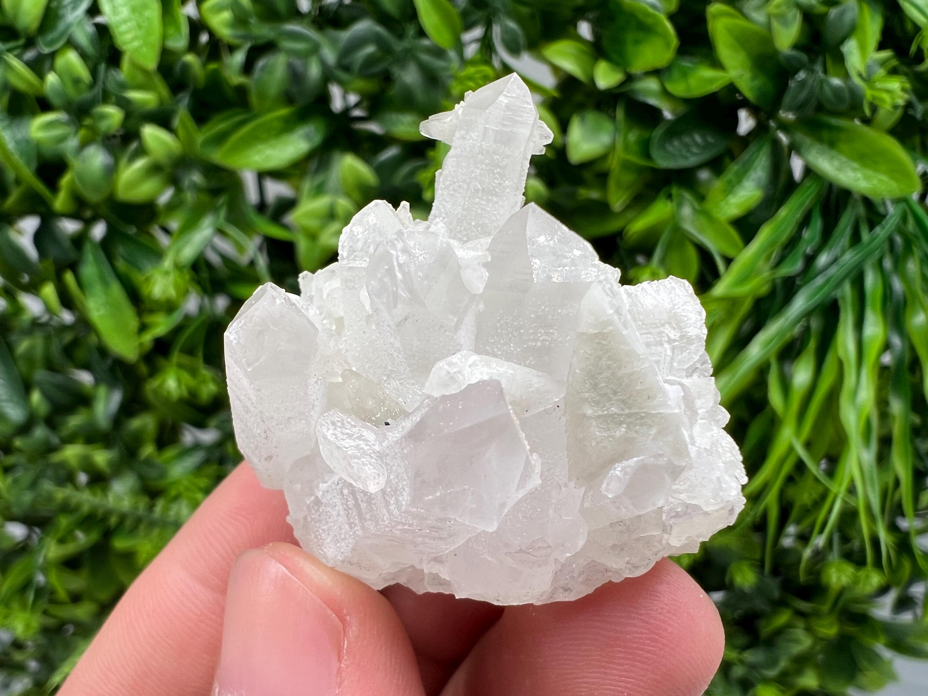 Calcite on Green Quartz: Djurcovo Mine, Bulgaria Healing Crystal