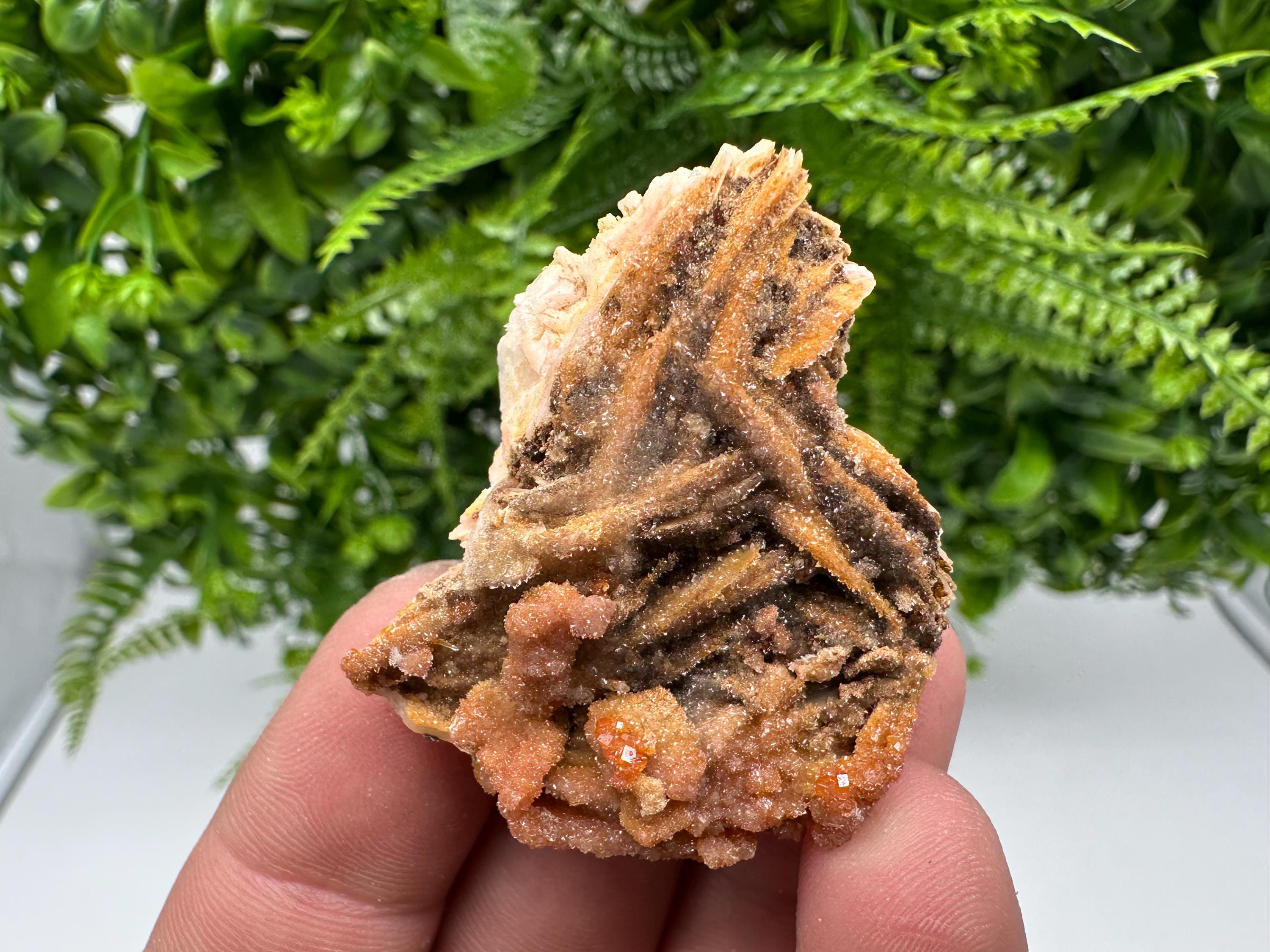 Red Vanadinite on Barite, Morocco Crystal Specimen