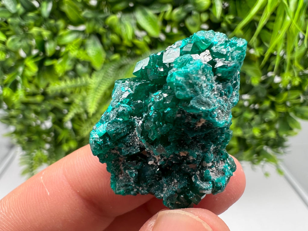 Stunning Green Dioptase from Sanda Hills,Mindouli,Pool Department,Mindouli District,Congo,green Dioptase,Dioptas Crystal,Dioptase collecting