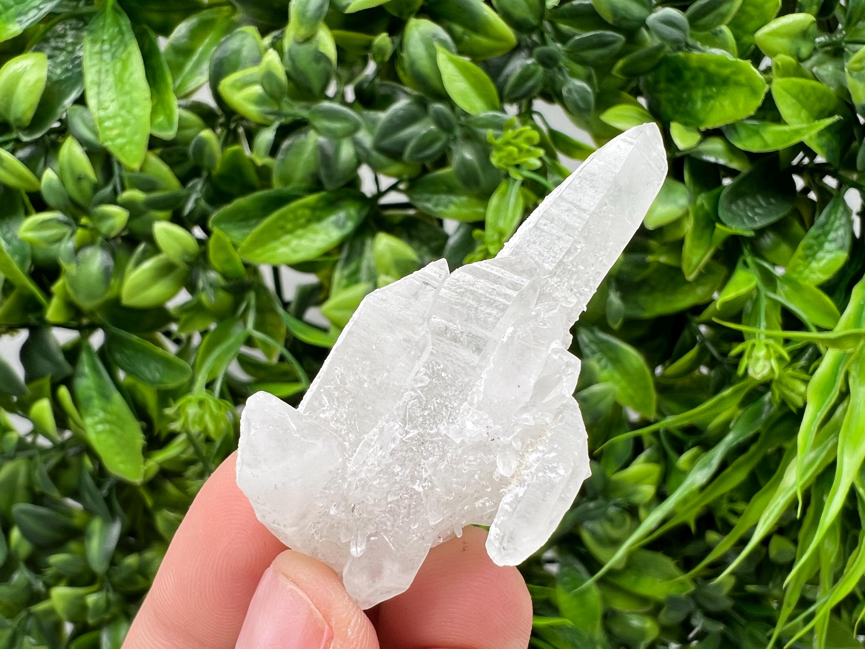 Transparent Quartz on Chlorite Matrix, Borieva Mine, Bulgaria