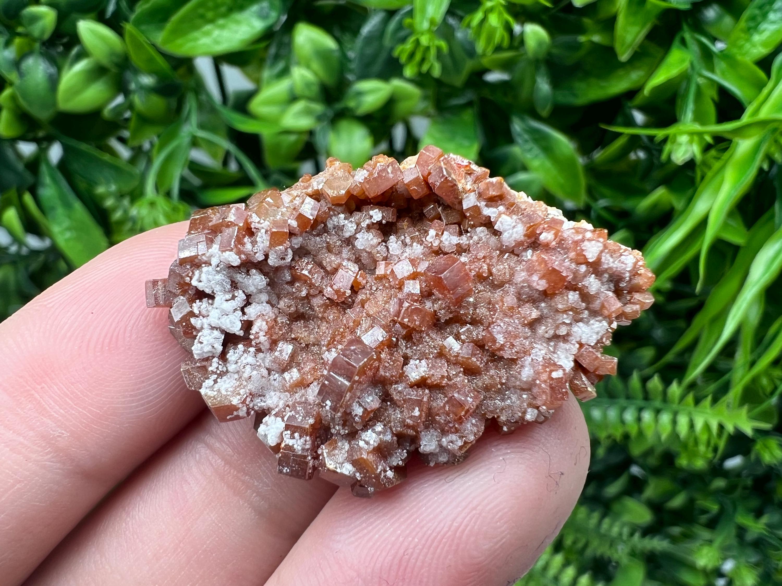 Red Vanadinite on Barite from Marocco,crystal minerals Speciment cluster Vanadinite crystal Vanadinite Geology Vanadinite cluster minerals