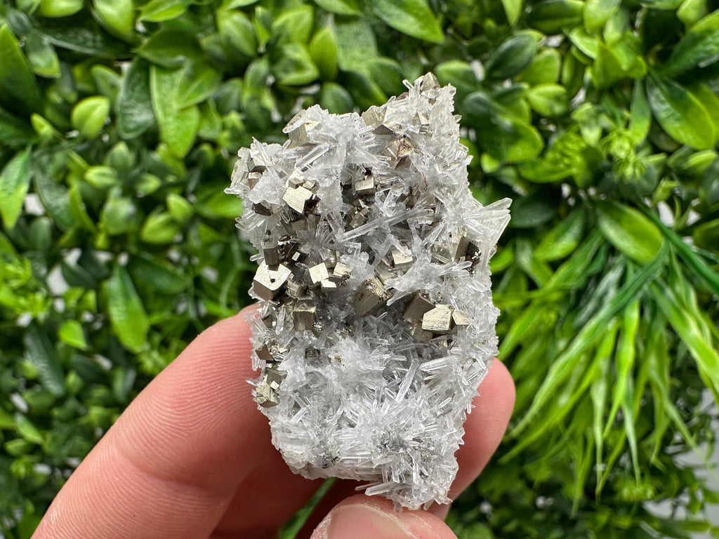 Pyrite on Green Quartz Mineral Specimen, Borieva Mine Bulgaria