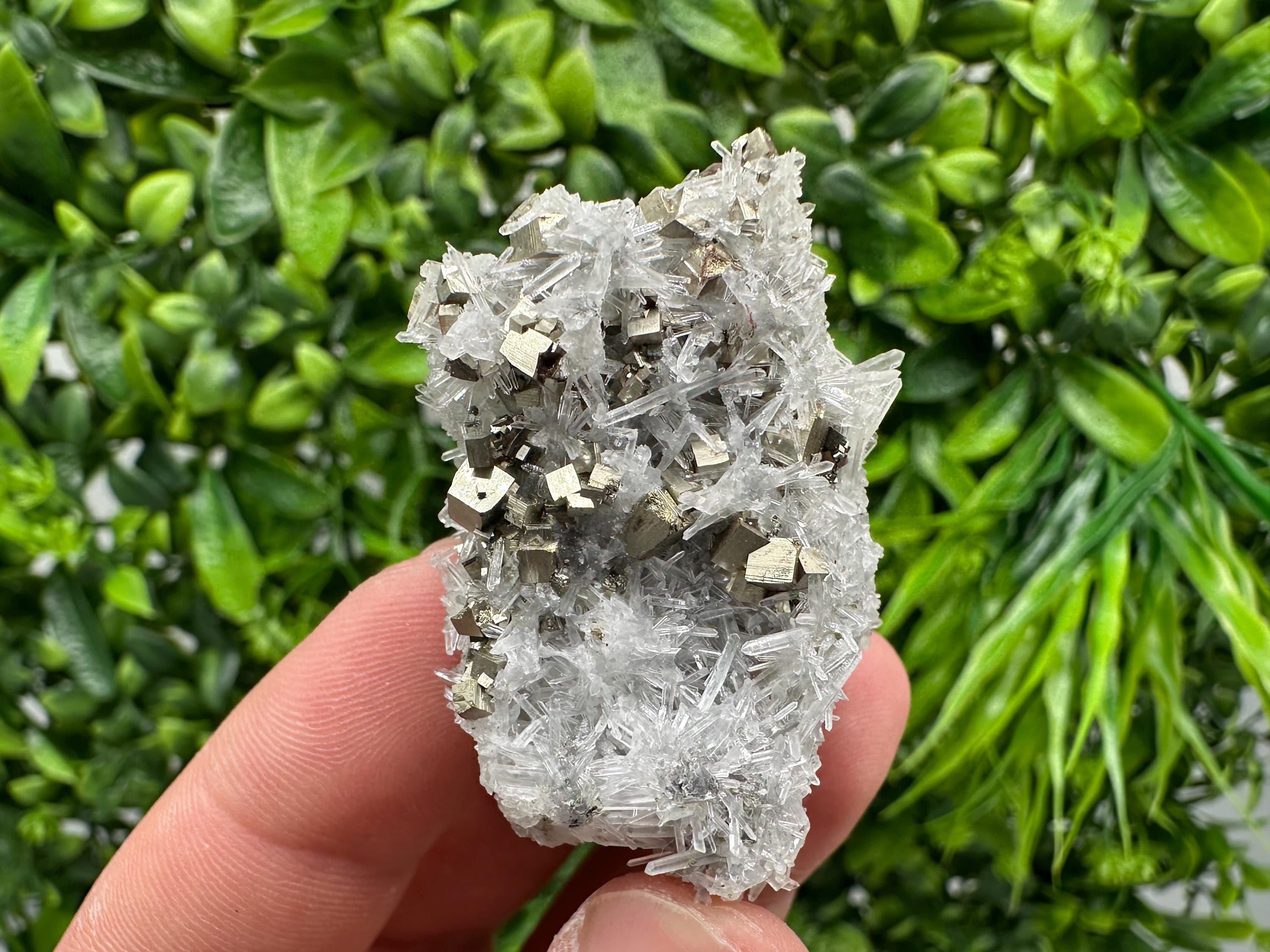 Pyrite on Green Quartz Mineral Specimen, Borieva Mine Bulgaria