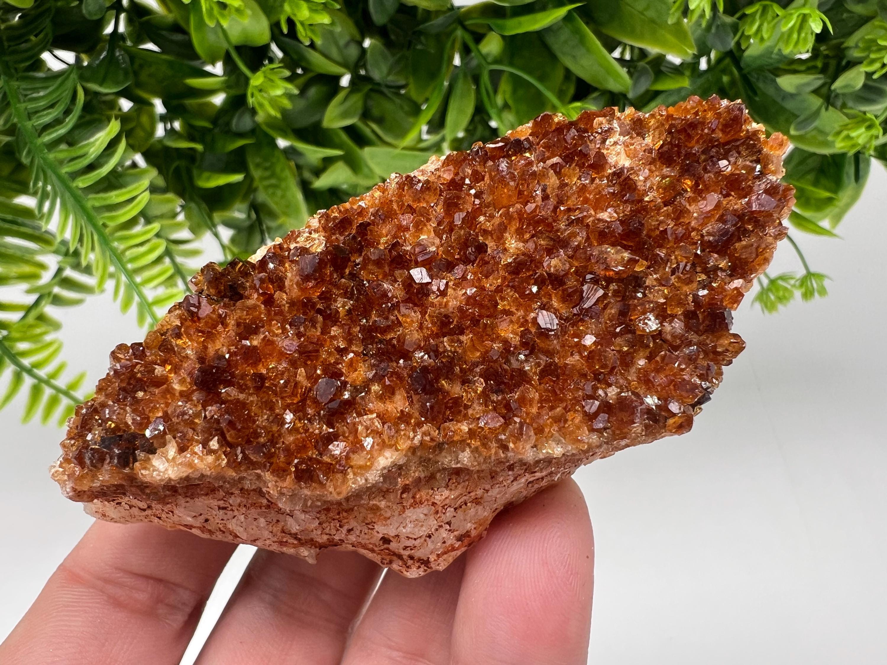 Brazilian Citrine Crystal Cluster with Hematite Inclusions