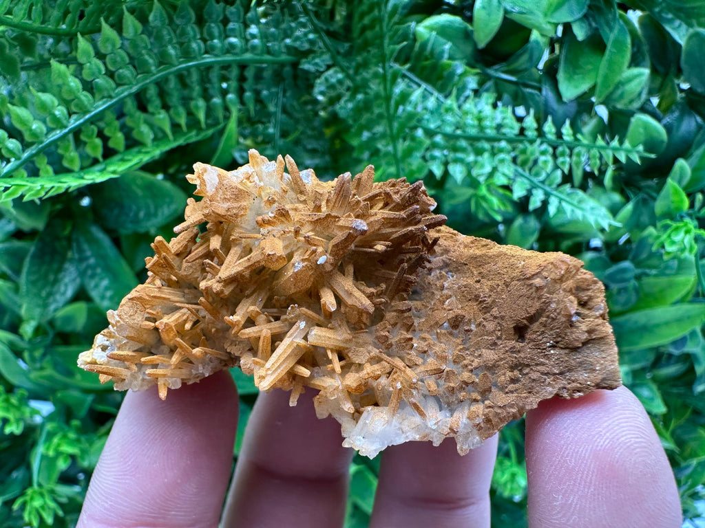 Limonite Coated Quartz Crystal - Iron Oxide Mineral Specimen