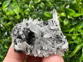 Wonderful Sphalerite Chalcopyrite on  Quartz whit Galena feom 9 th September mine,Bulgaria,natural,collection mineral specimen,gift