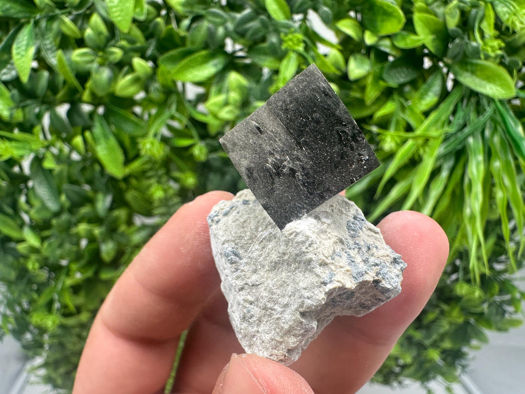 Large Pyrite cubes on Matrix,Gold,Cube PYRITE, Navajun, La Rioja,SPAIN,natural Pyrite shiny Pyrite home decor stone gift minerals,collectibl