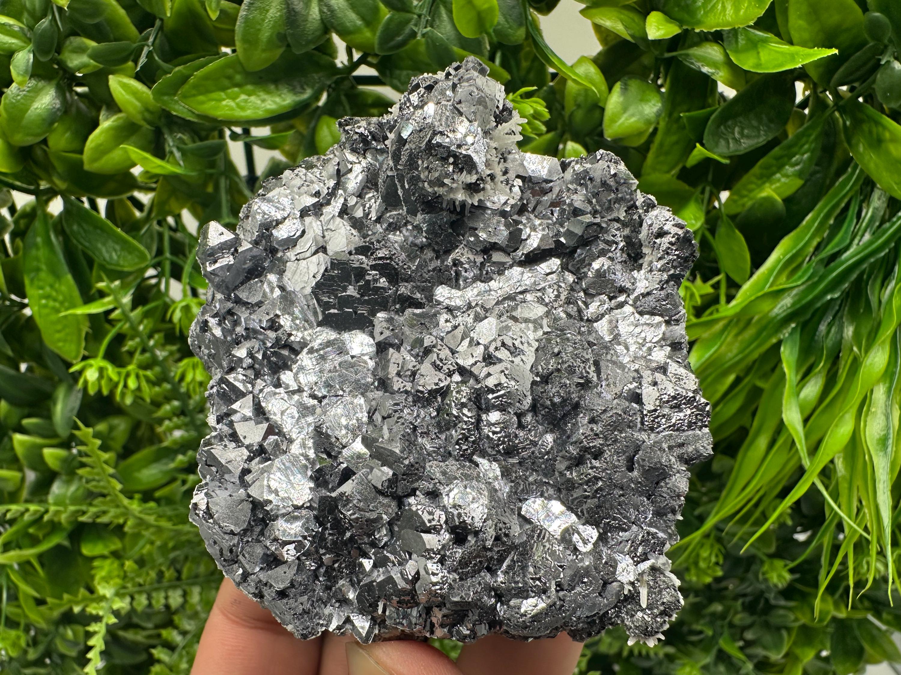 Galena with Quartz Mineral Specimen, Krushev dol Mine, Bulgaria