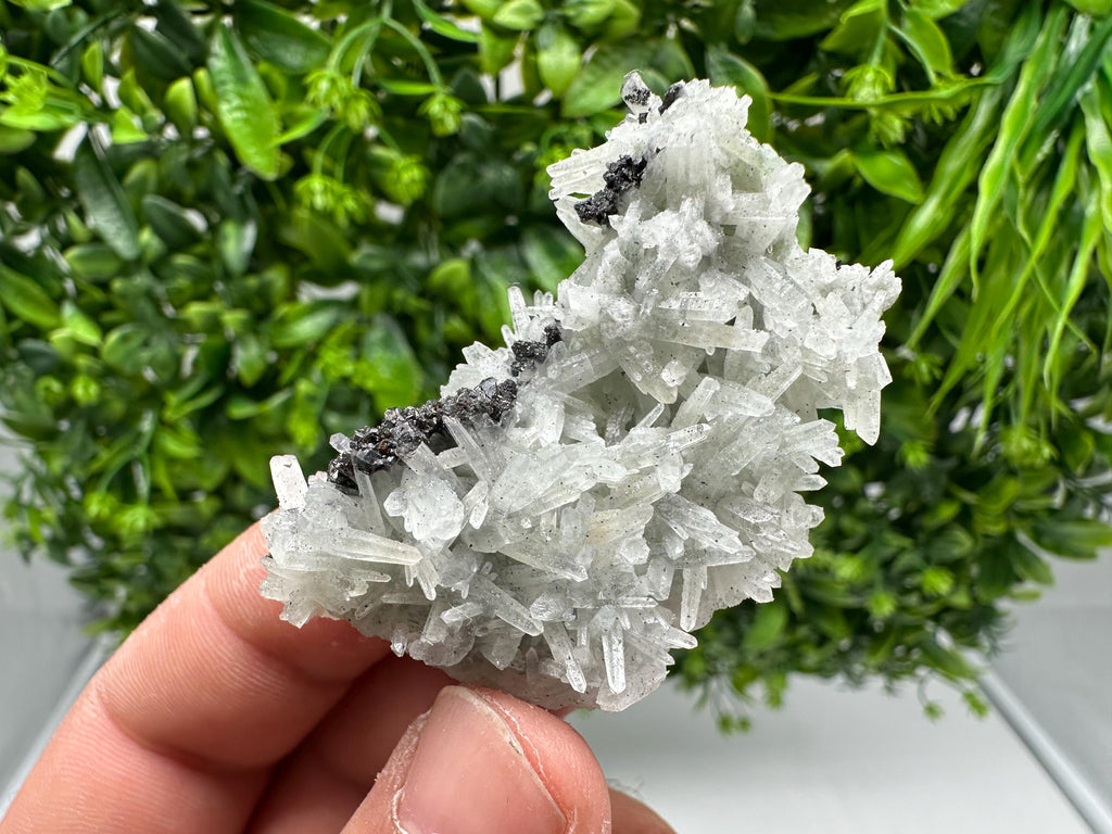 Stunning Sphalerite on  Quarzt from Borieva mine,Madan,Bulgaria,natural,collection mineral specimen,home decor crystal,gift,collection
