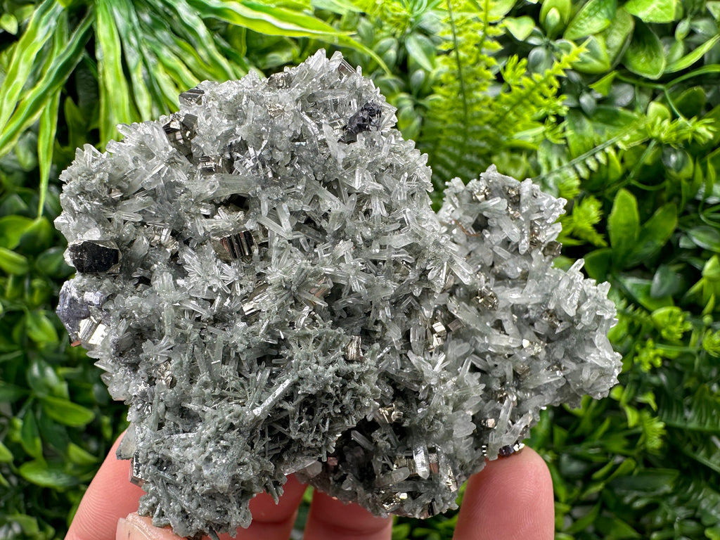 Pyrite Galena on Green Quartz with Chlorite: Borieva Bulgaria Crystal