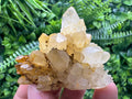 Transparent Quartz Cluster: Natural Mineral Specimen, Bulgaria