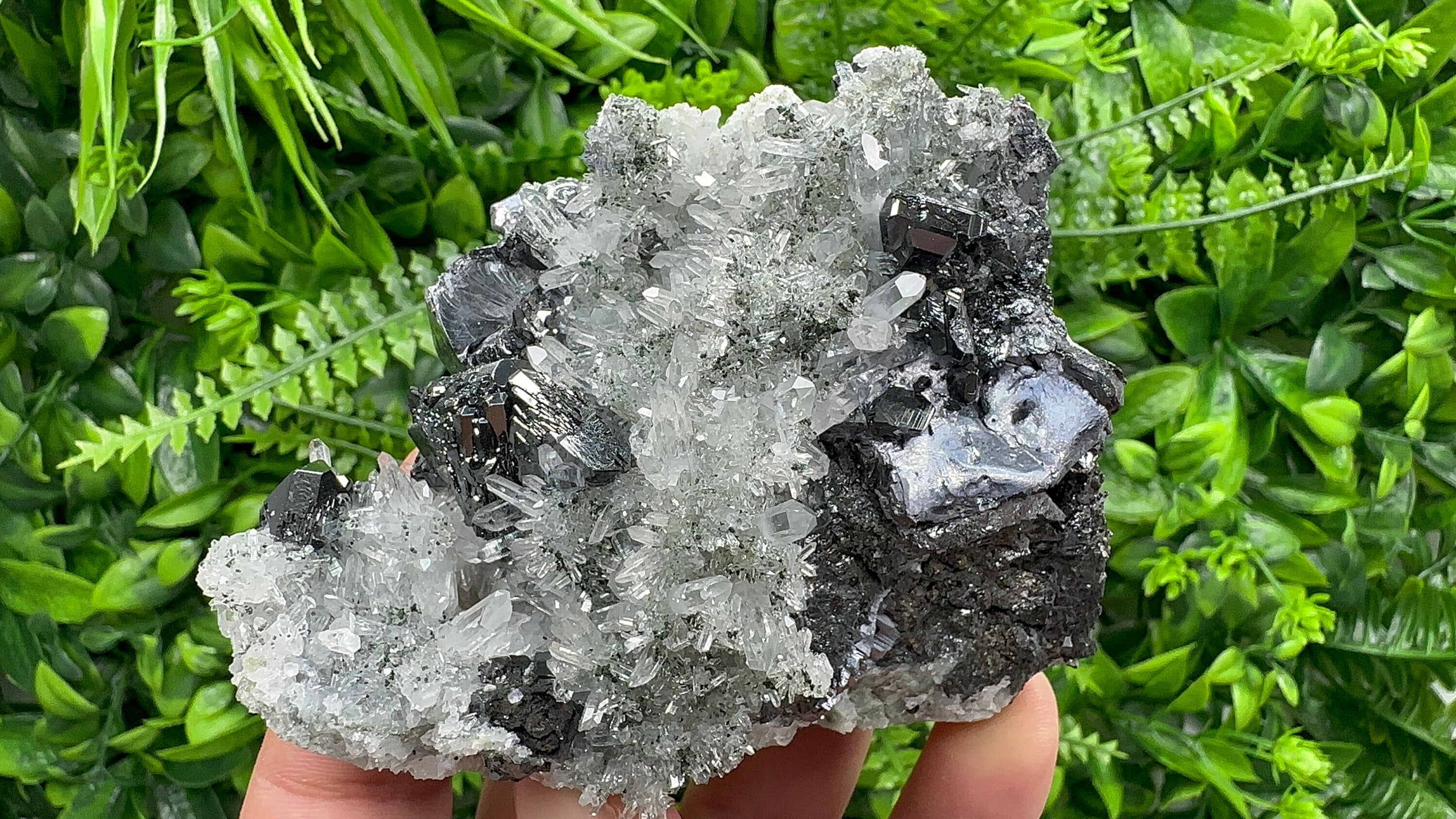 Sphalerite, Mirror Galena on Quartz, Bulgaria Minerals, Crystal Decor (9/7/7 cm)