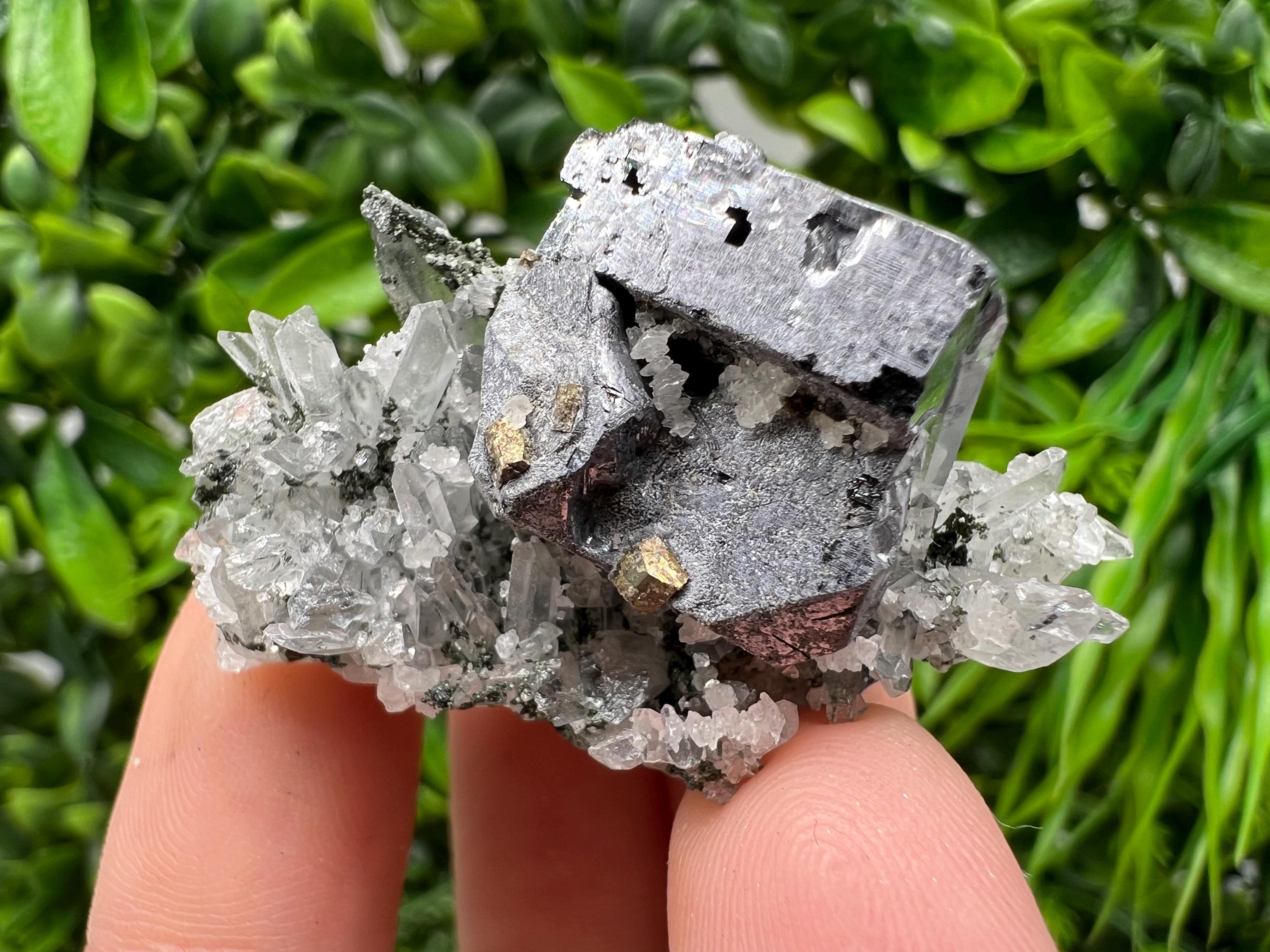Galena Pyrite Quartz Specimen, Borieva Mine, Bulgaria