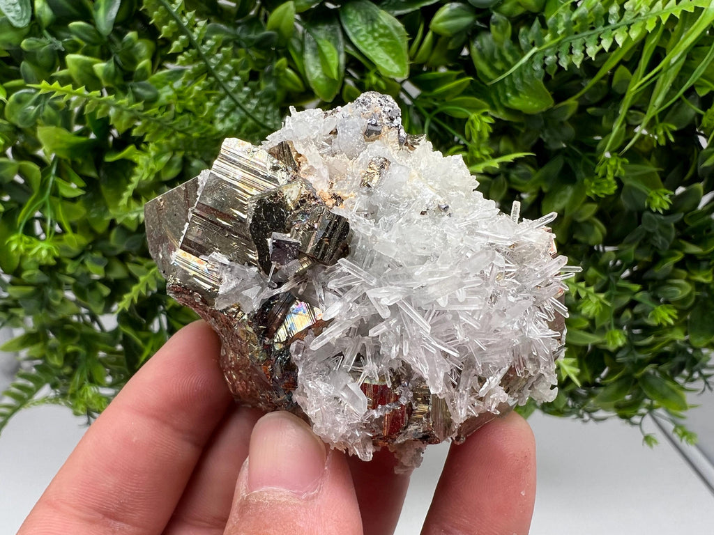 Rare Pyrite on Quartz Crystal: Borieva Mine, Bulgaria