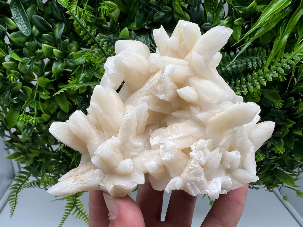 Calcite on Green Quartz: Djurcovo Mine, Bulgaria