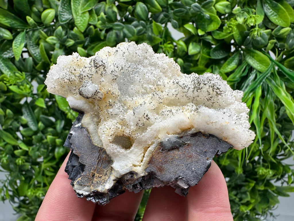Galena Marcasite on Chalcedony: Androvo Mine Bulgaria Crystal