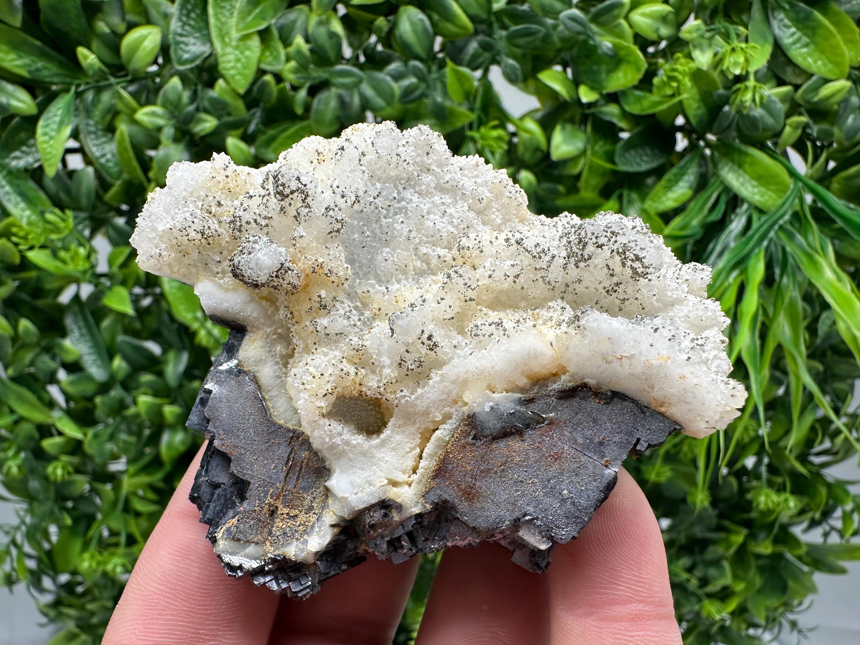 Galena Marcasite on Chalcedony: Androvo Mine Bulgaria Crystal