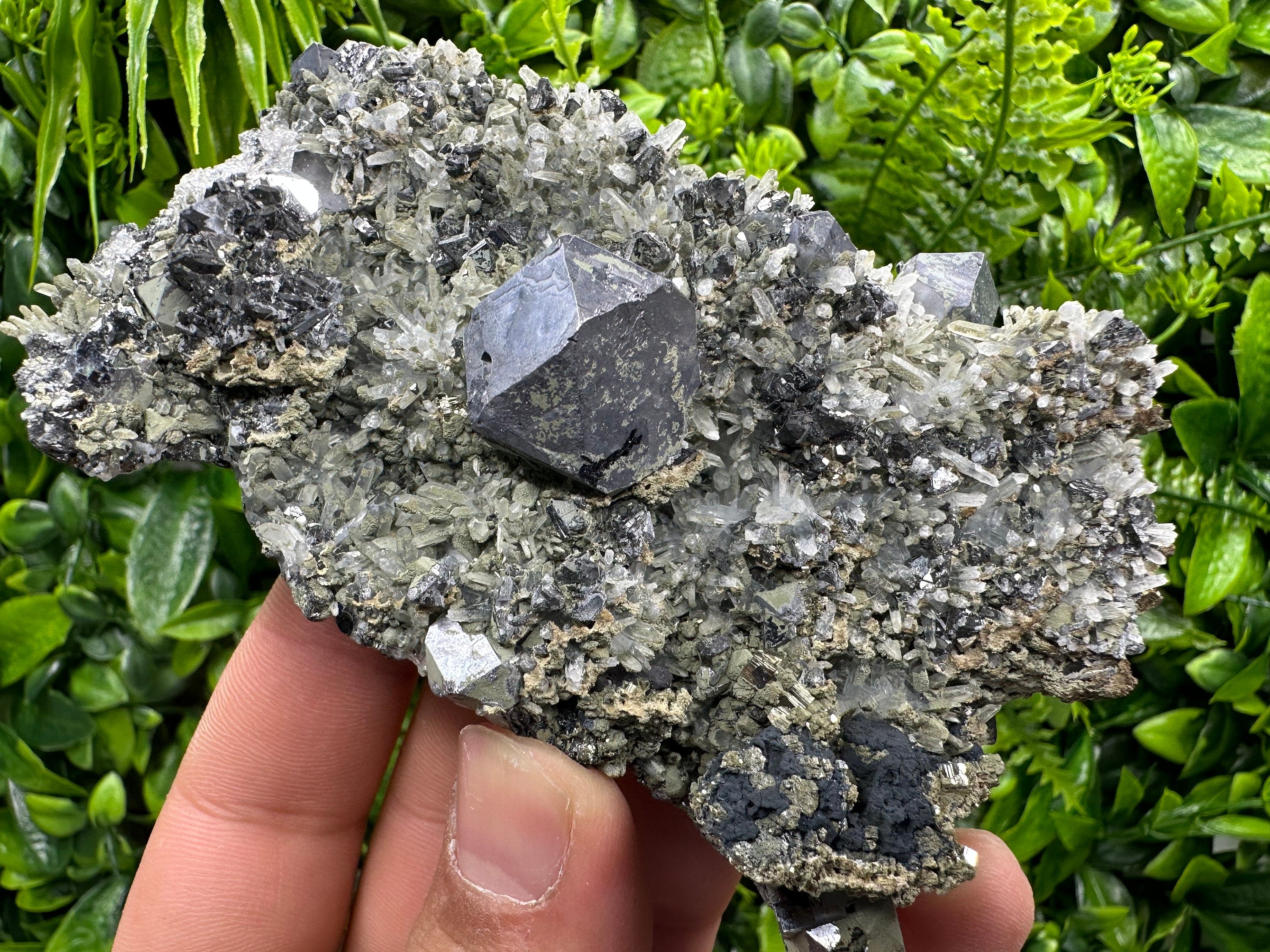 Galena Pyrite Sphalerite on Quartz, Madan Bulgaria Mineral Specimen