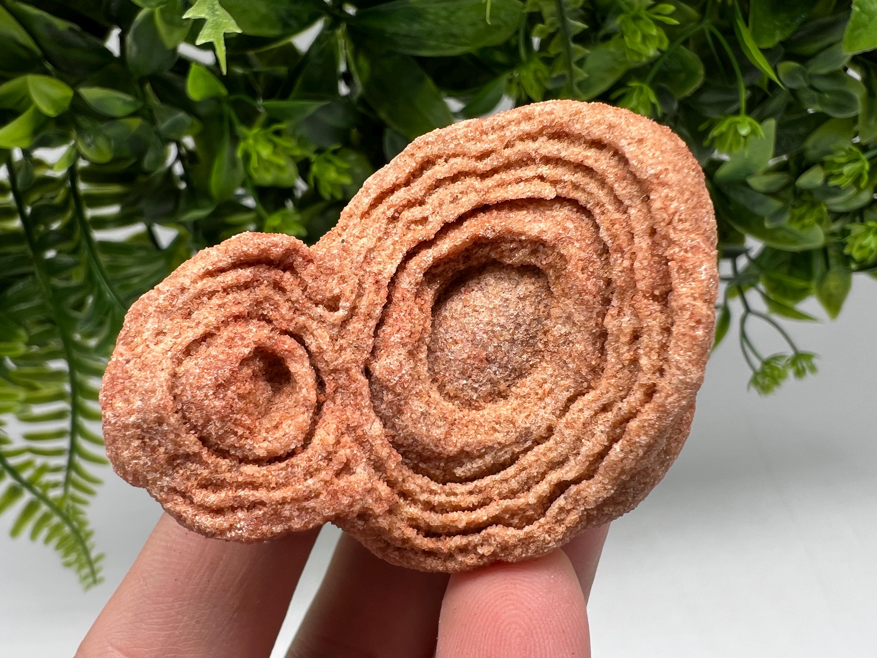 Raw Moroccan Stromatolite Fossil Specimen, Algae Fossil