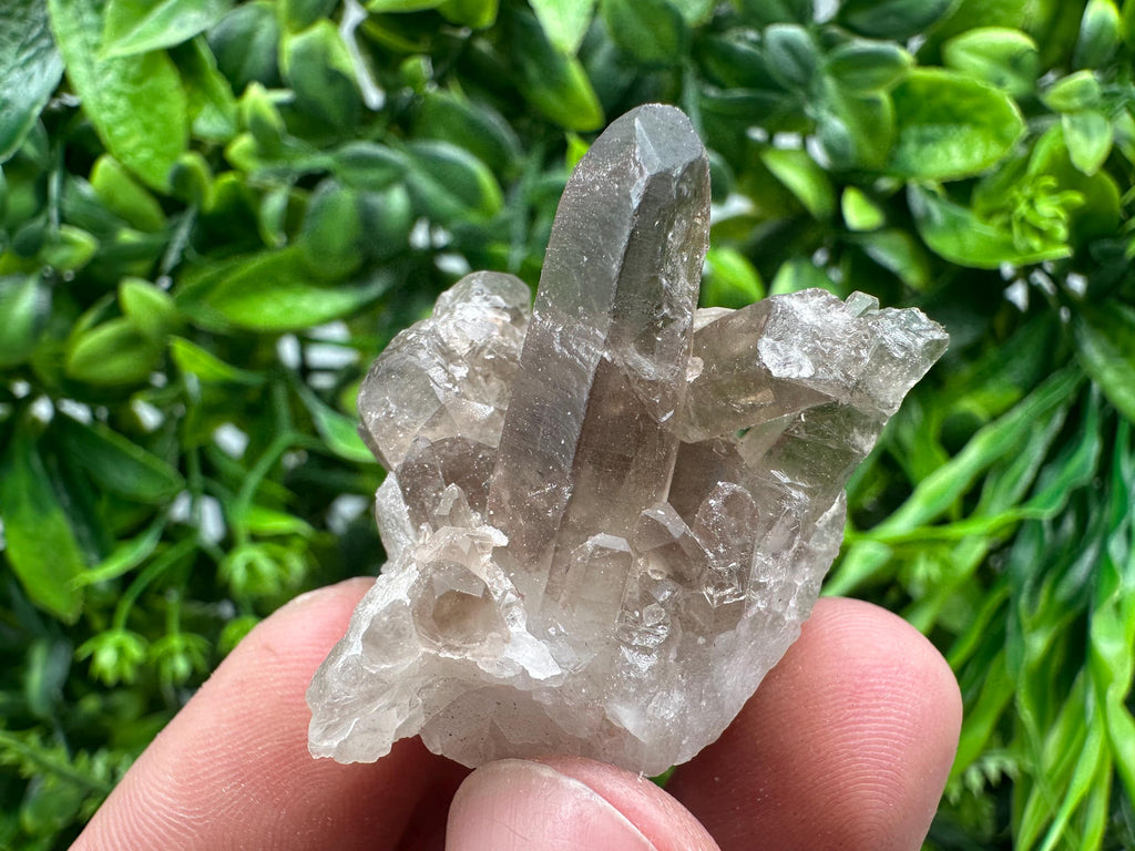 Rare Smoky Quartz Crystal Cluster, Brazil Mineral Specimen