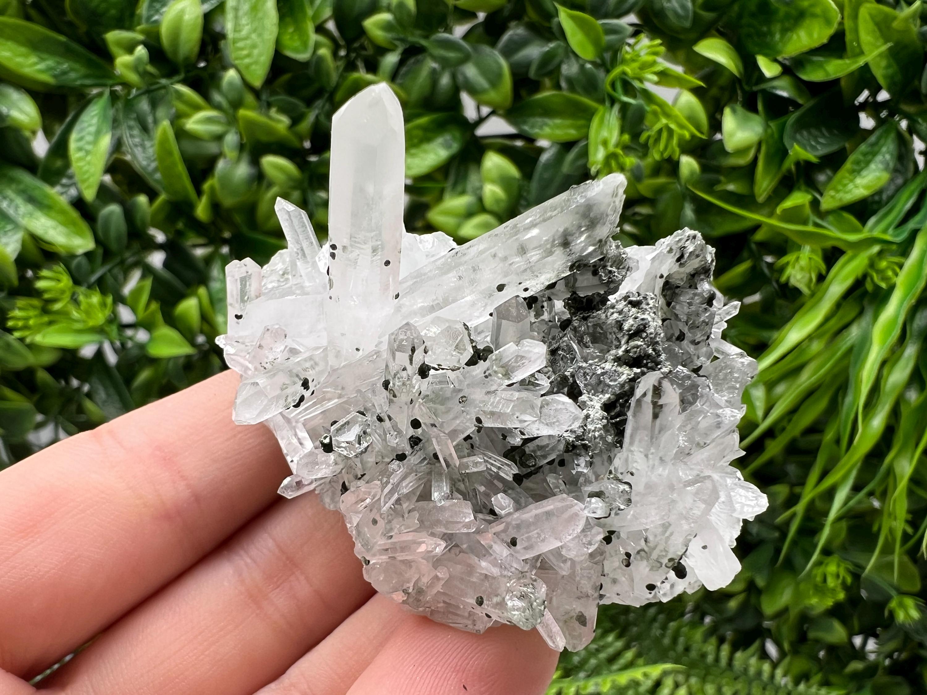 Stunning Transparent Quartz,from Borieva mine,natural collection mineral specimen rare crystal,home decor crystal,quartz cluster,Quartz,gift