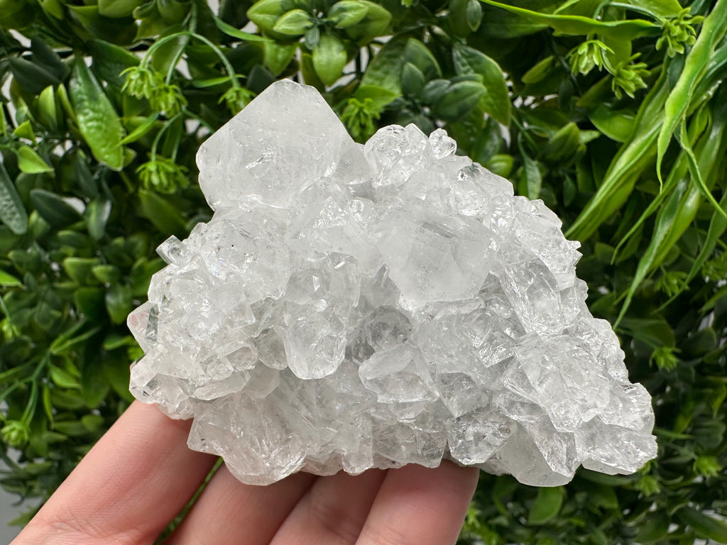 Apophyllite on Chalcedony Specimen: India Minerals Collection