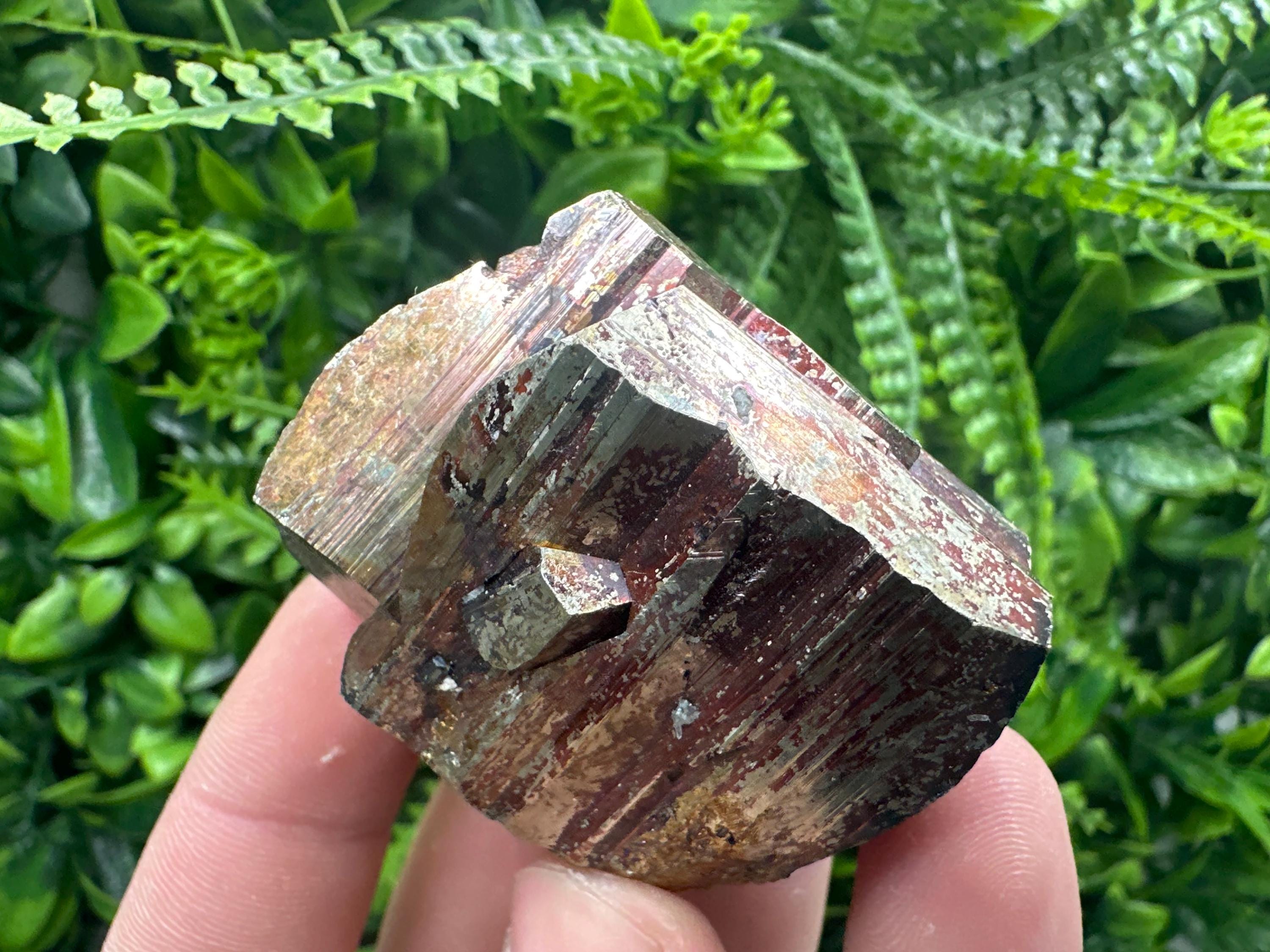 Pyrite with Hematite Mineral Specimen: Bulgaria Crystal Decor (5.5cm)