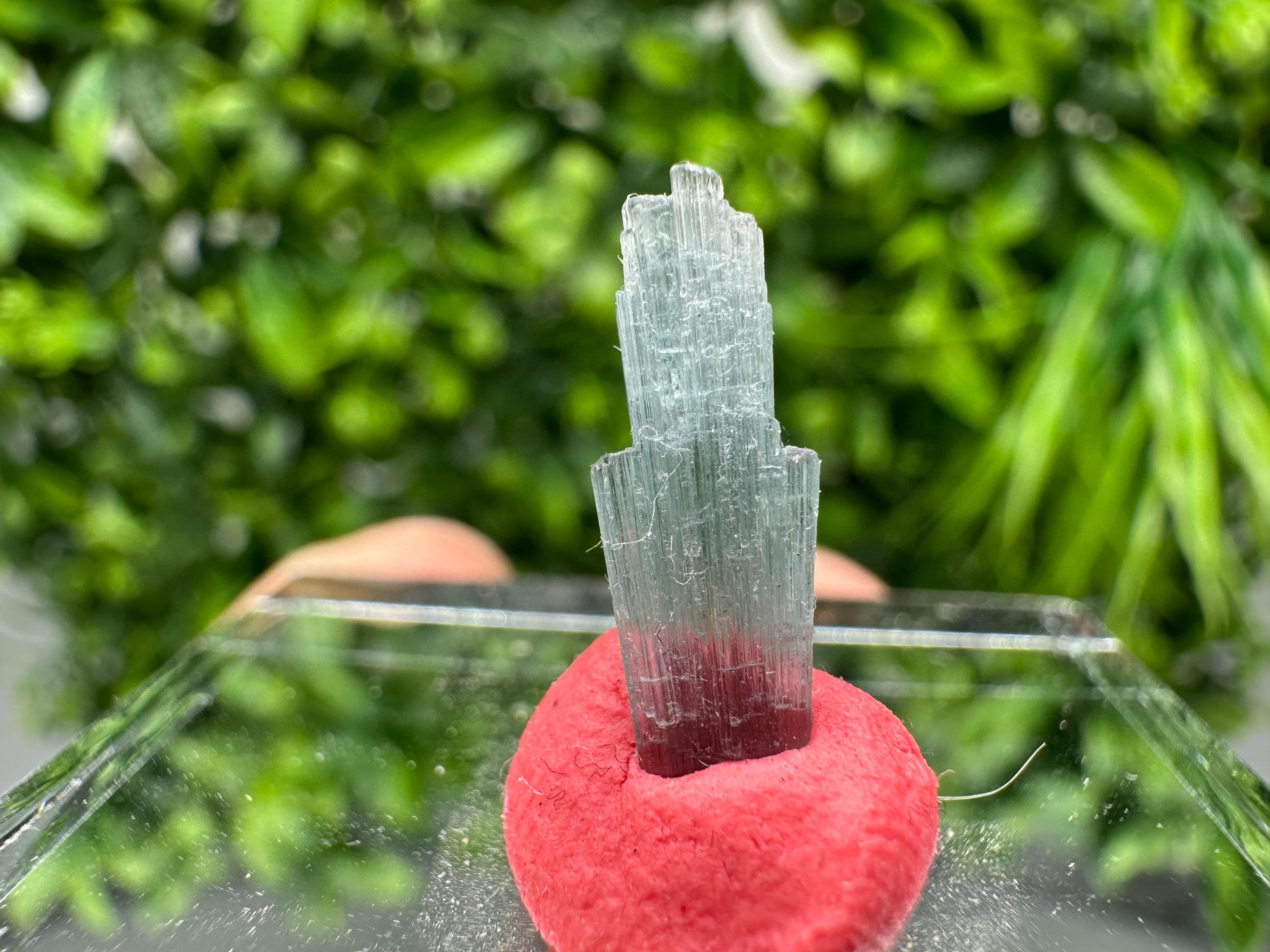 Rare Pink & Green Rubellite Tourmaline Rough Pencil - 15mm