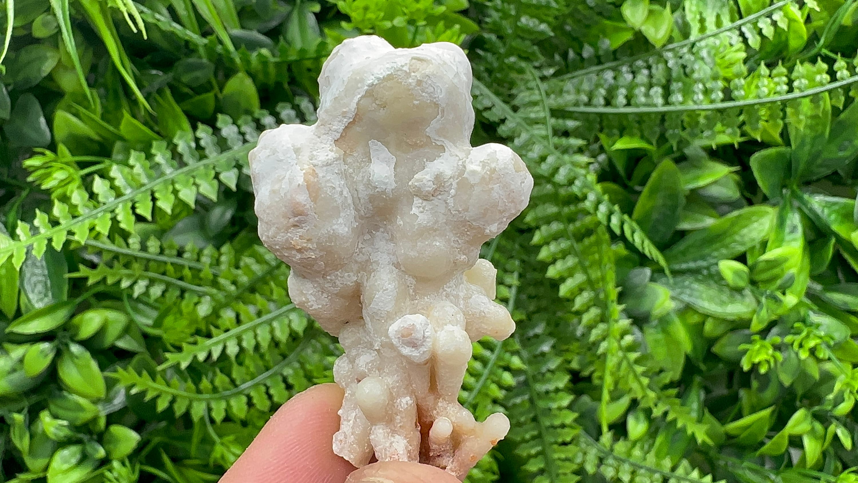 Aragonite Cluster, Bulgaria Mineral Specimen, Home Decor Stone (3/6/2.5cm)