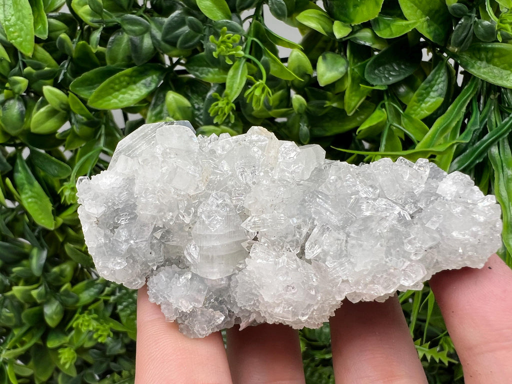 Apophyllite on Chalcedony Specimen: Transparent Crystal, India Minerals