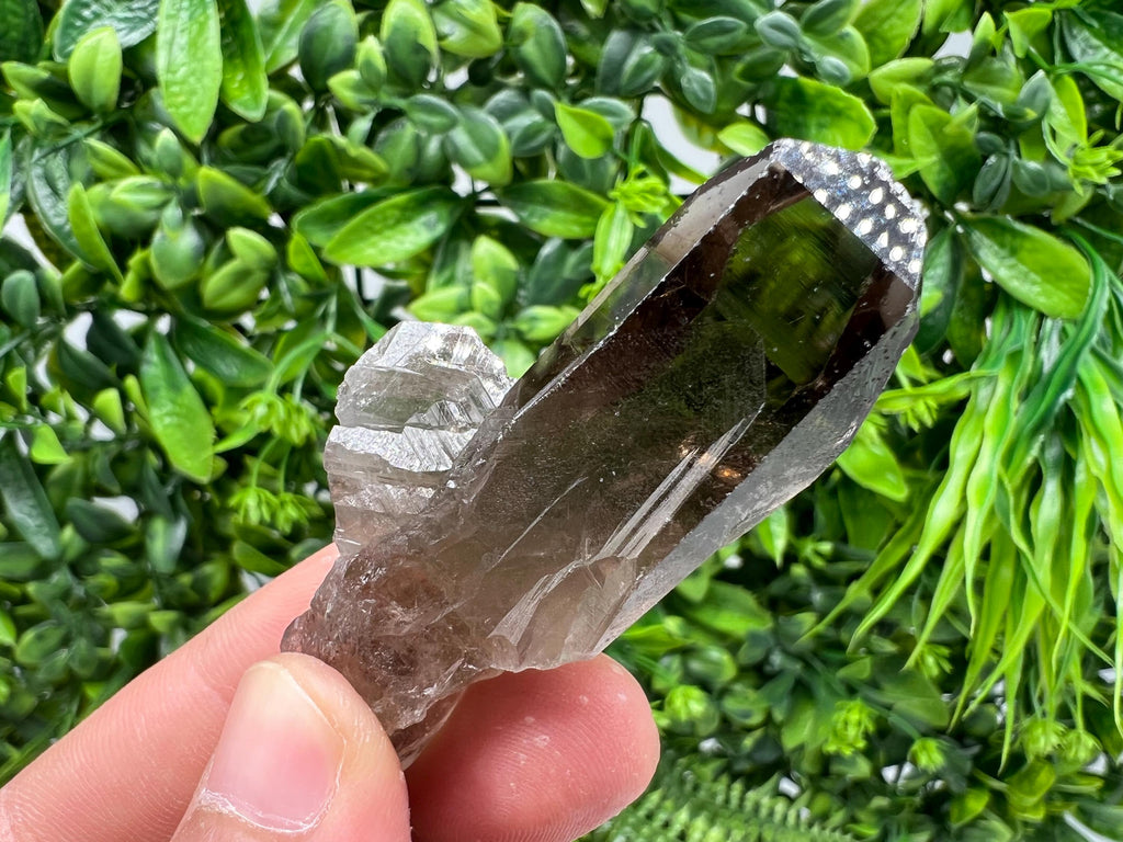 Rare Smoky Quartz Crystal Specimen: Brazilian Mineral Collection