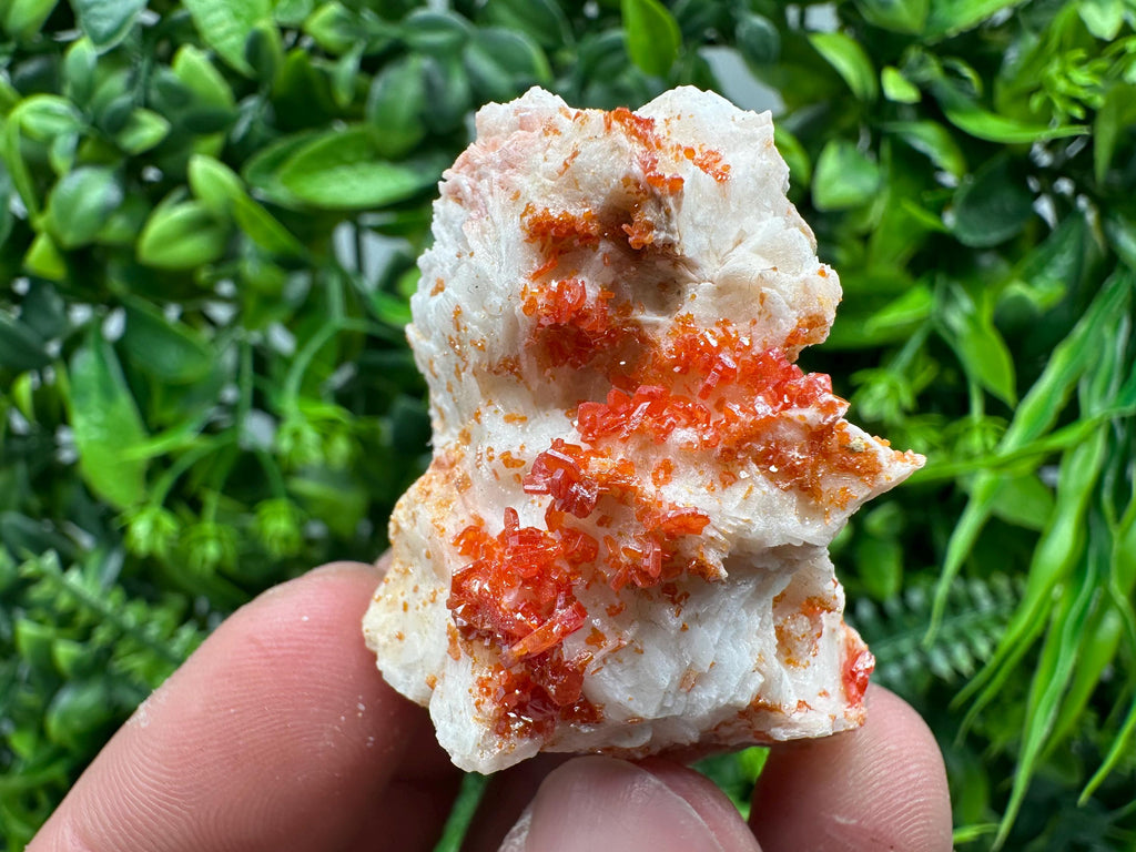 Red Vanadinite Crystal on Barite, Morocco Mineral Specimen