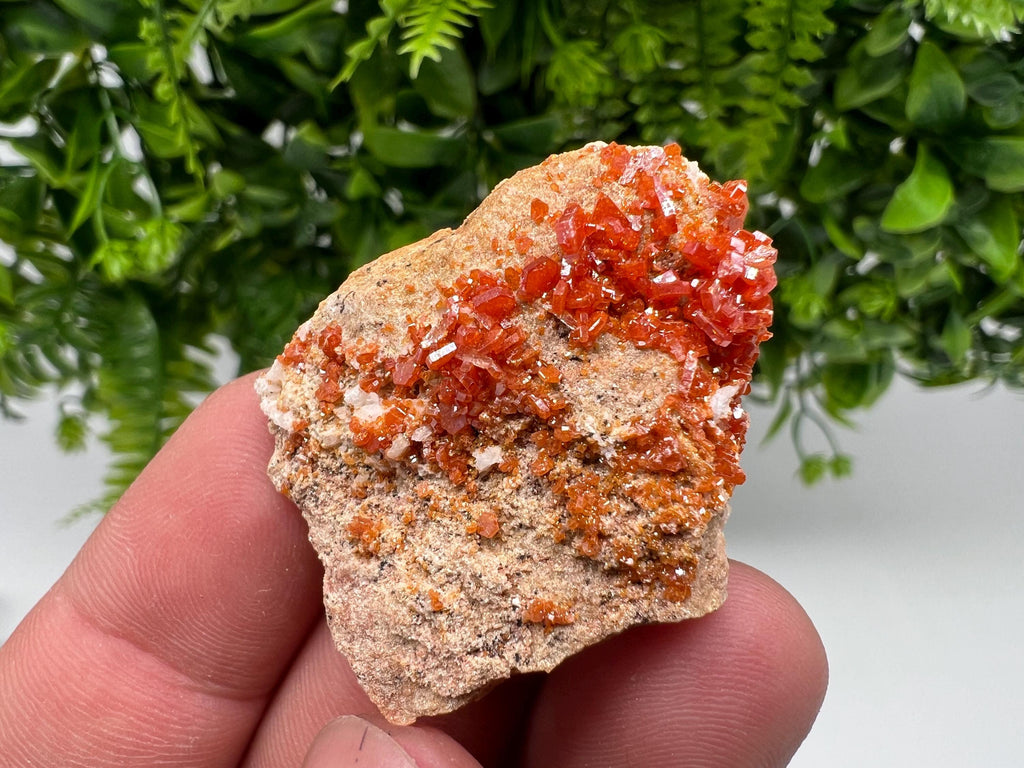 Red Vanadinite on Barite from Marocco,crystal minerals Speciment cluster Vanadinite crystal Vanadinite Geology Vanadinite cluster minerals
