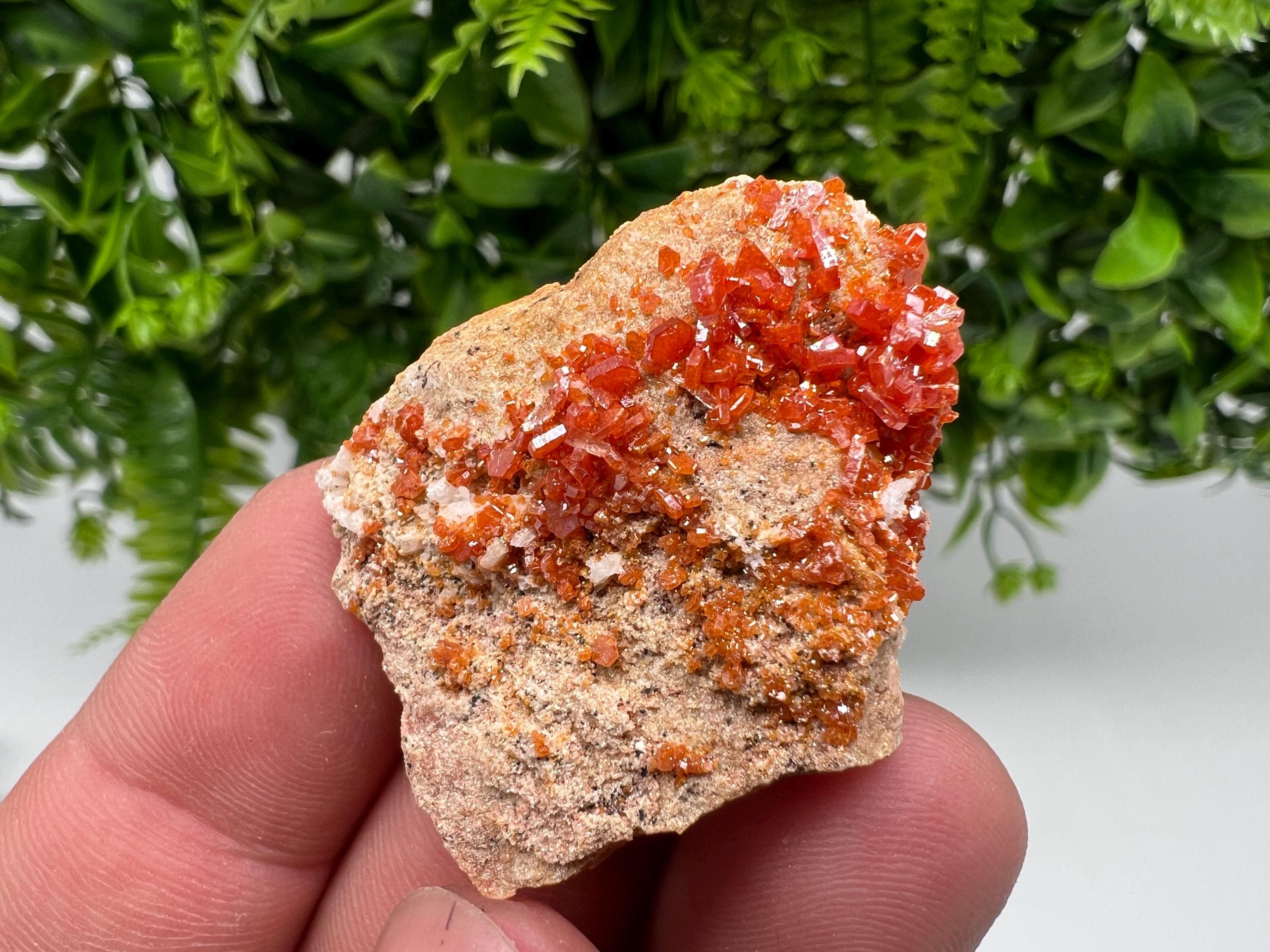Red Vanadinite on Barite from Marocco,crystal minerals Speciment cluster Vanadinite crystal Vanadinite Geology Vanadinite cluster minerals