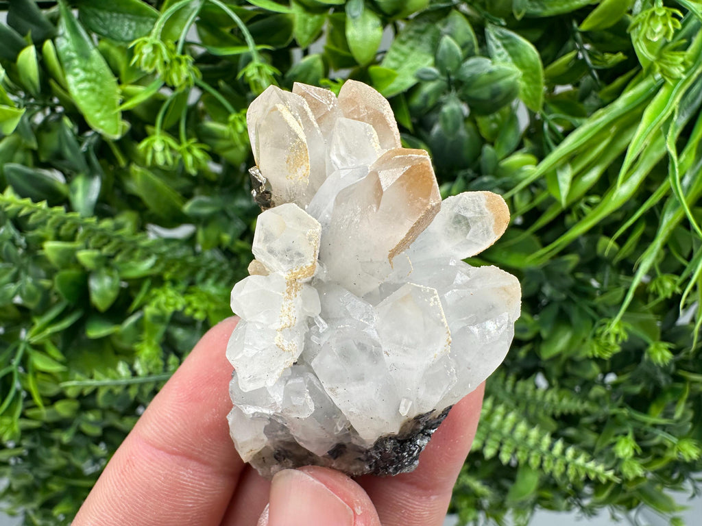 Quartz Sphalerite Chalcopyrite Mineral Specimen, Madan Bulgaria