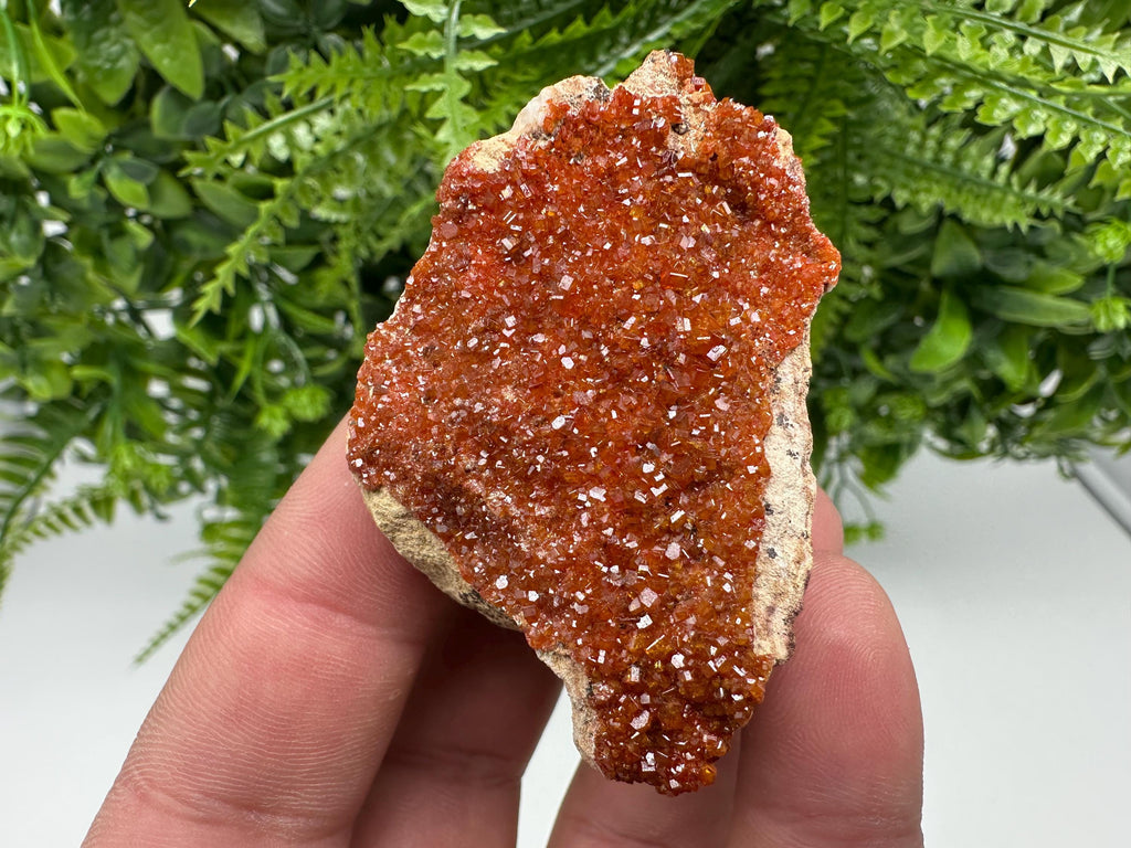 Red Vanadinite Crystal on Barite, Morocco Mineral Specimen