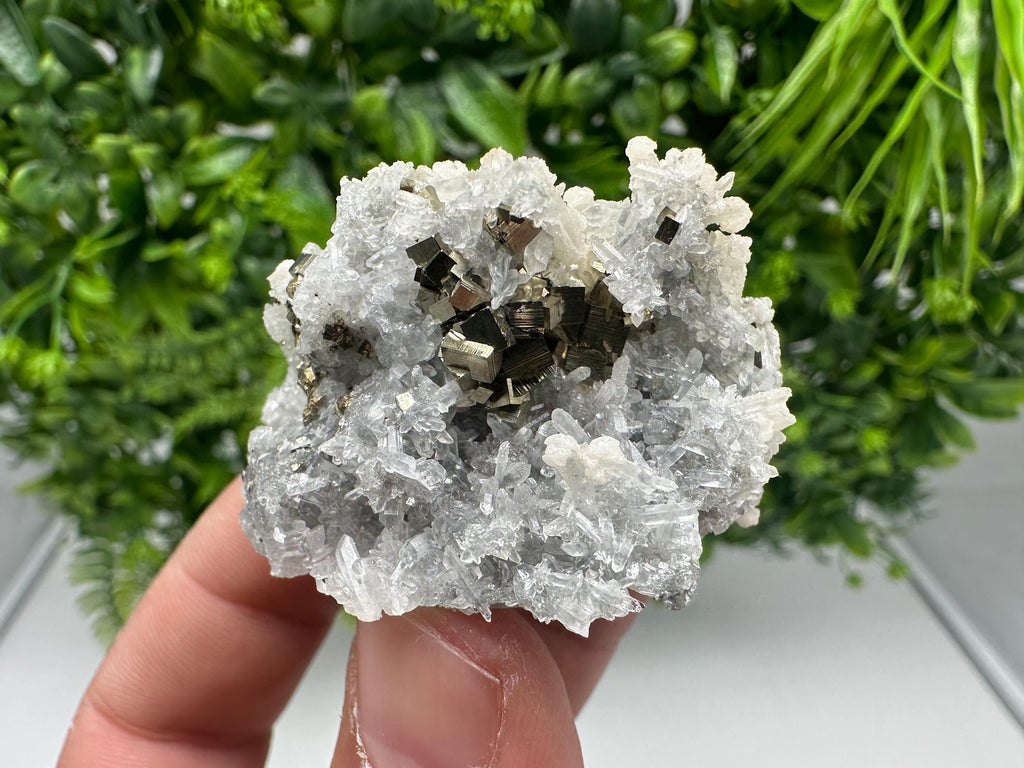 Pyrite on Green Quartz Mineral Specimen, Borieva Mine Bulgaria