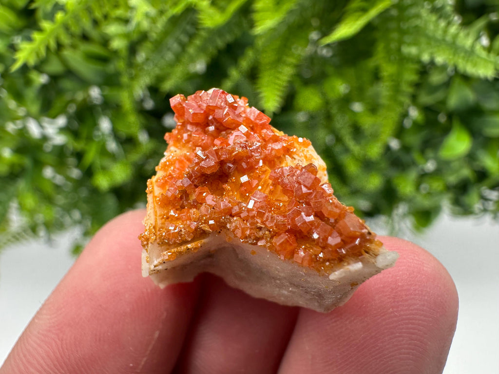 Red Vanadinite Crystal Cluster on Barite Matrix, Moroccan Mineral Specimen