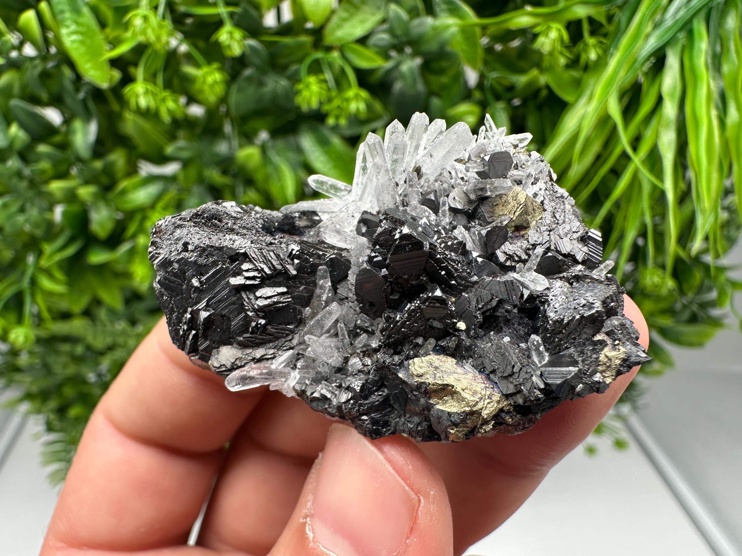 Wonderful Sphalerite Chalcopyrite on  Quartz whit Galena feom 9 th September mine,Bulgaria,natural,collection mineral specimen,gift