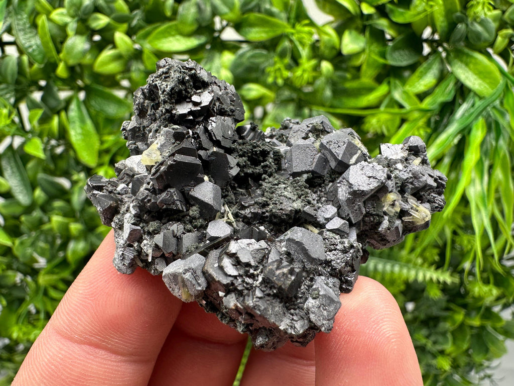 Sphalerite Galena Chlorite Cluster, Borieva Mine, Bulgaria