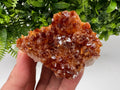 Citrine Crystal with Hematite Inclusions: Natural Phantom Cluster