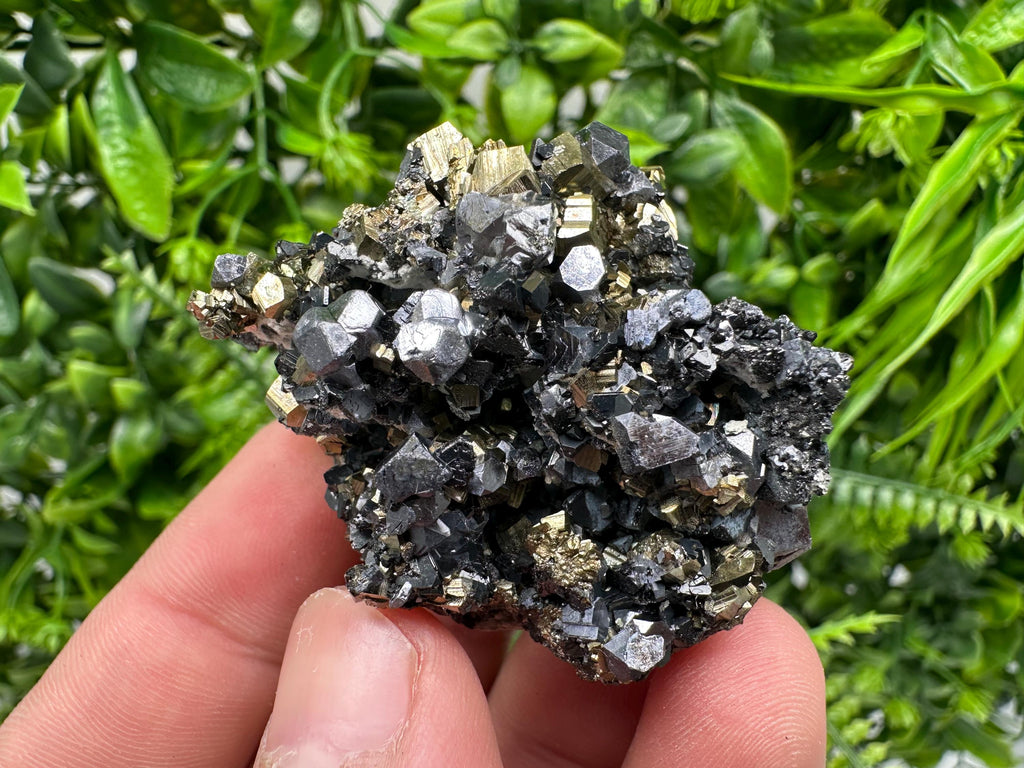 Galena on Pyrite Mineral Specimen, Borieva Mine, Bulgaria